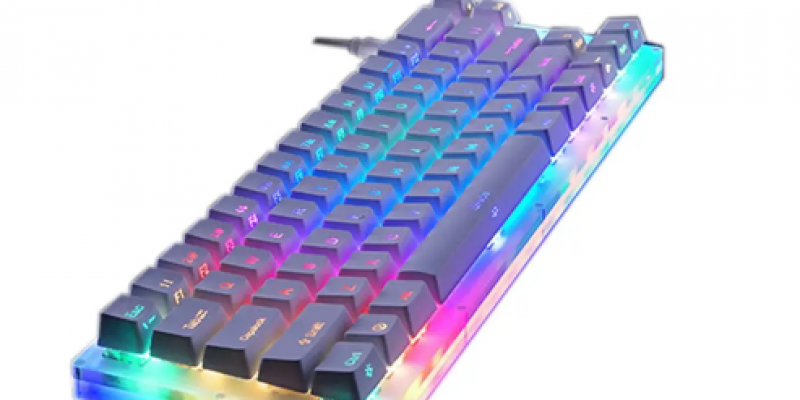 Womier K66 66Key Tyce-C Wired RGB Backlit Gateron Switch Mechanical Gaming Keyboard with Crystalline Base for PC Laptop